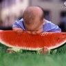 bébé